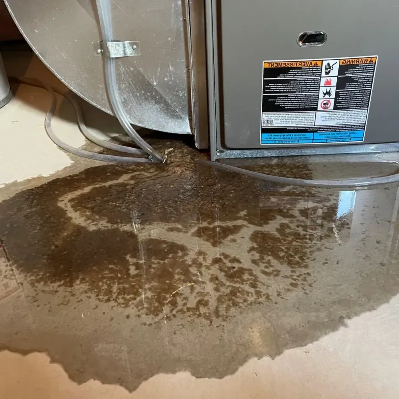 Pipe Burst and Leak Restoration in Horsham, PA